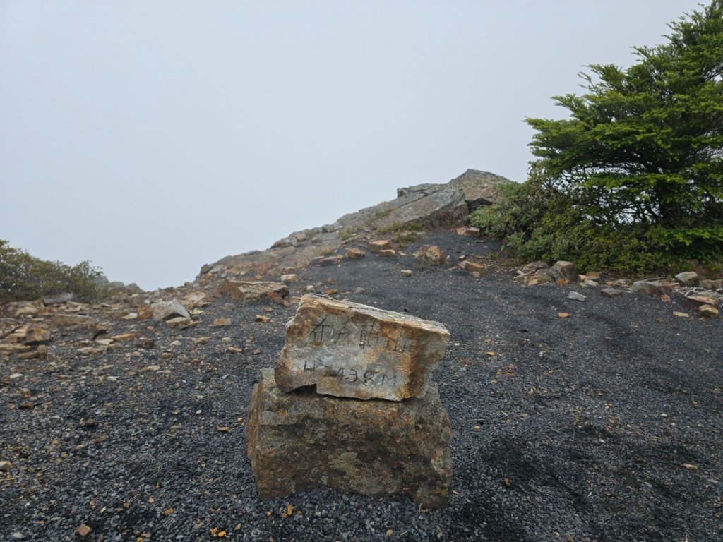 20240825 小O聖單攻_2614225