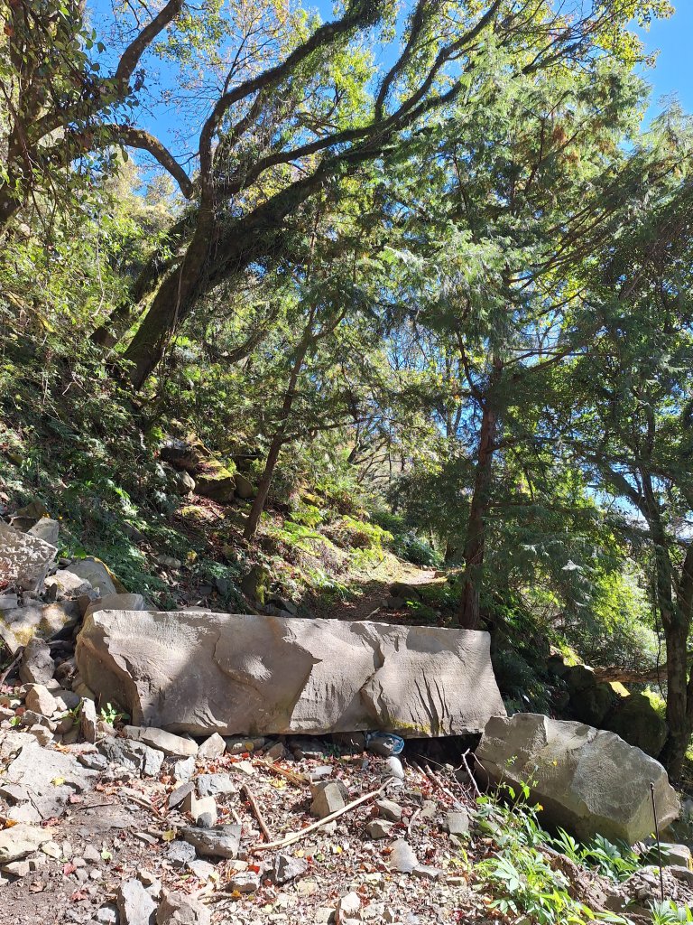 石山引水道20251211_2959537