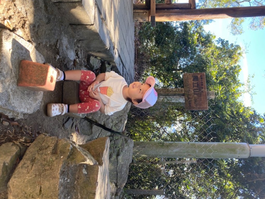 嘉義竹崎-小百岳058-獨立山_1982529