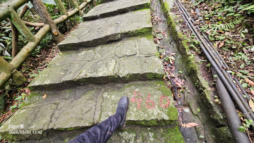 20260302忠義山.小坪頂山.貴子坑山大O走_3009895