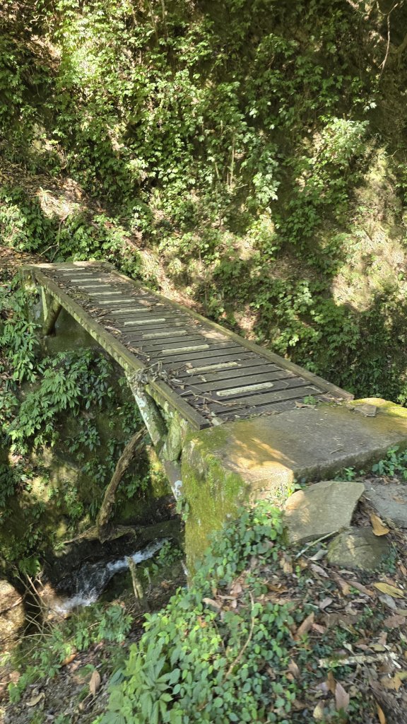 20241124-1130 南二段10座百岳_2665667