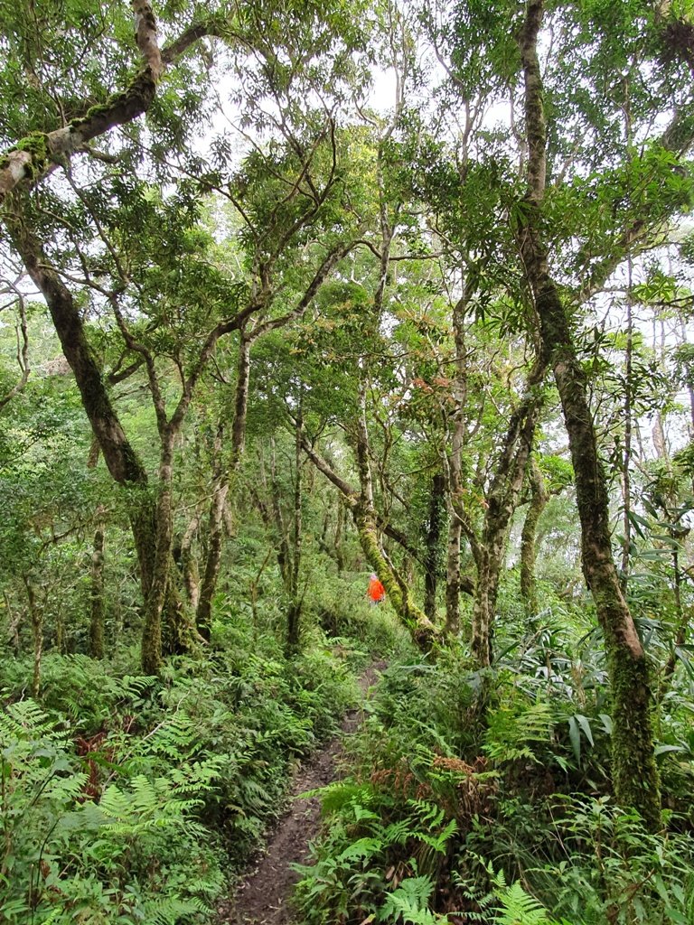 1090313台東聖山~都蘭山_881091