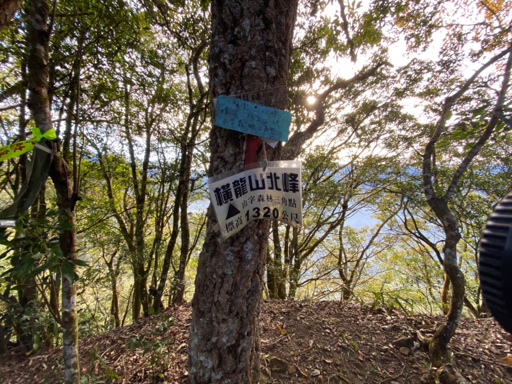 苗栗泰安-水雲三星-橫龍山_2612860