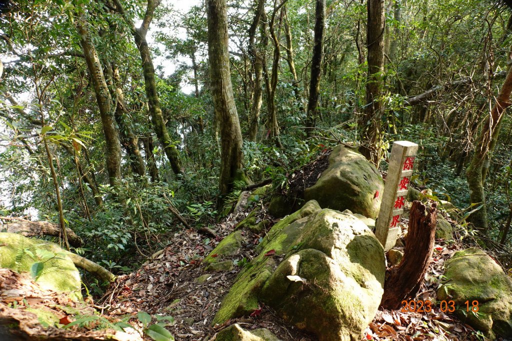 新竹 關西 馬武督山、蓮包山_2076567