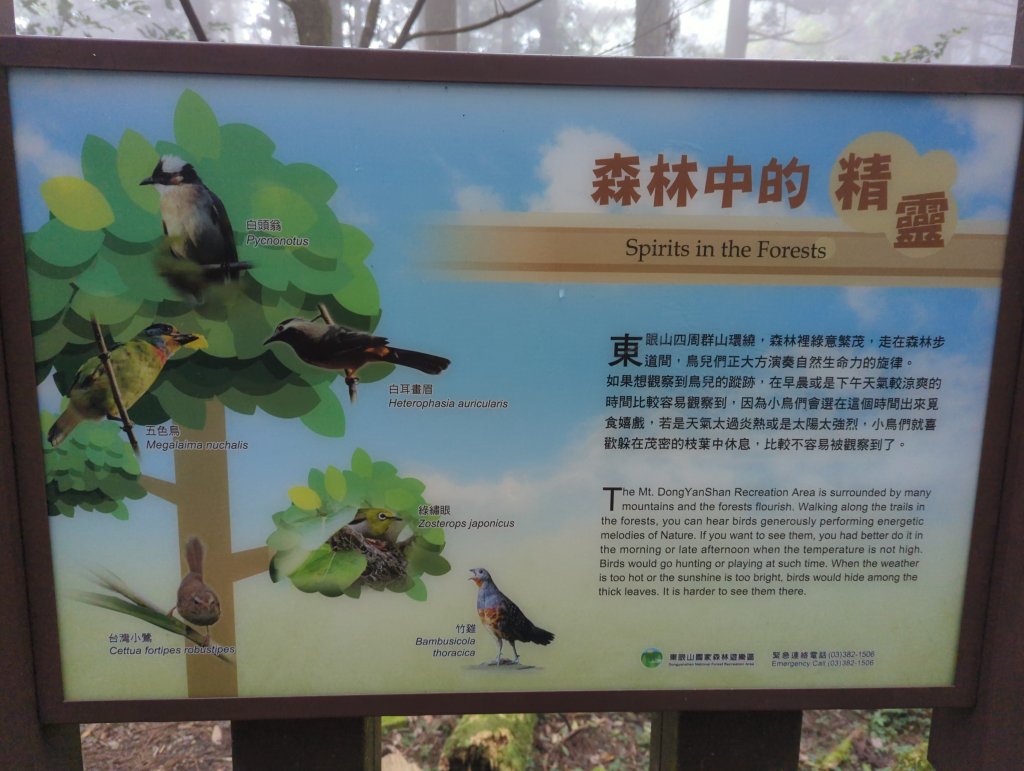 2023.02.19－東眼山自導式步道_2038892