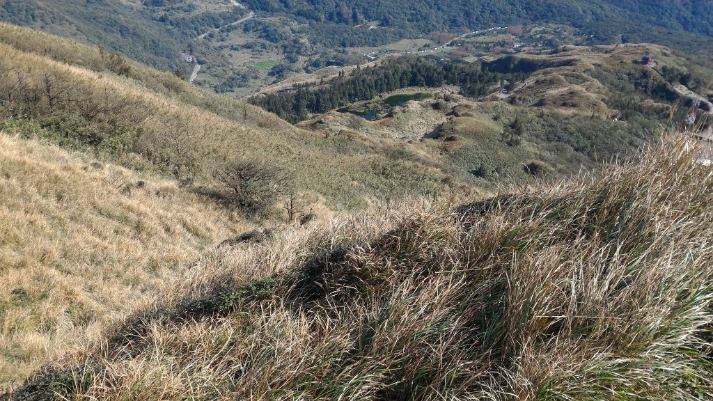 陽明山東段縱走_203752