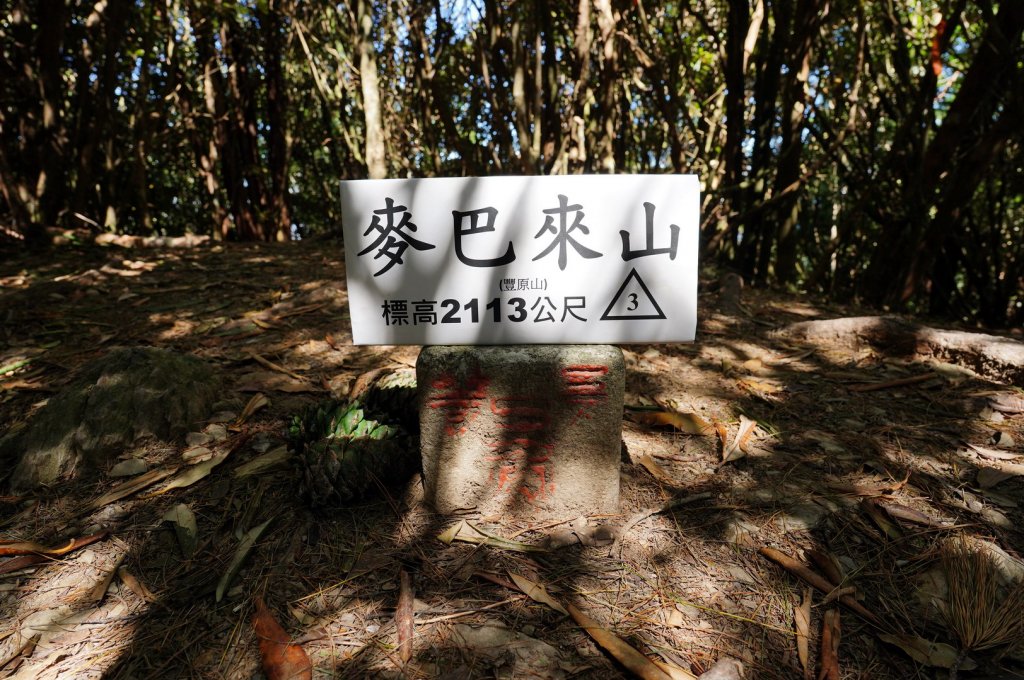 新竹 五峰 麥巴來山封面圖