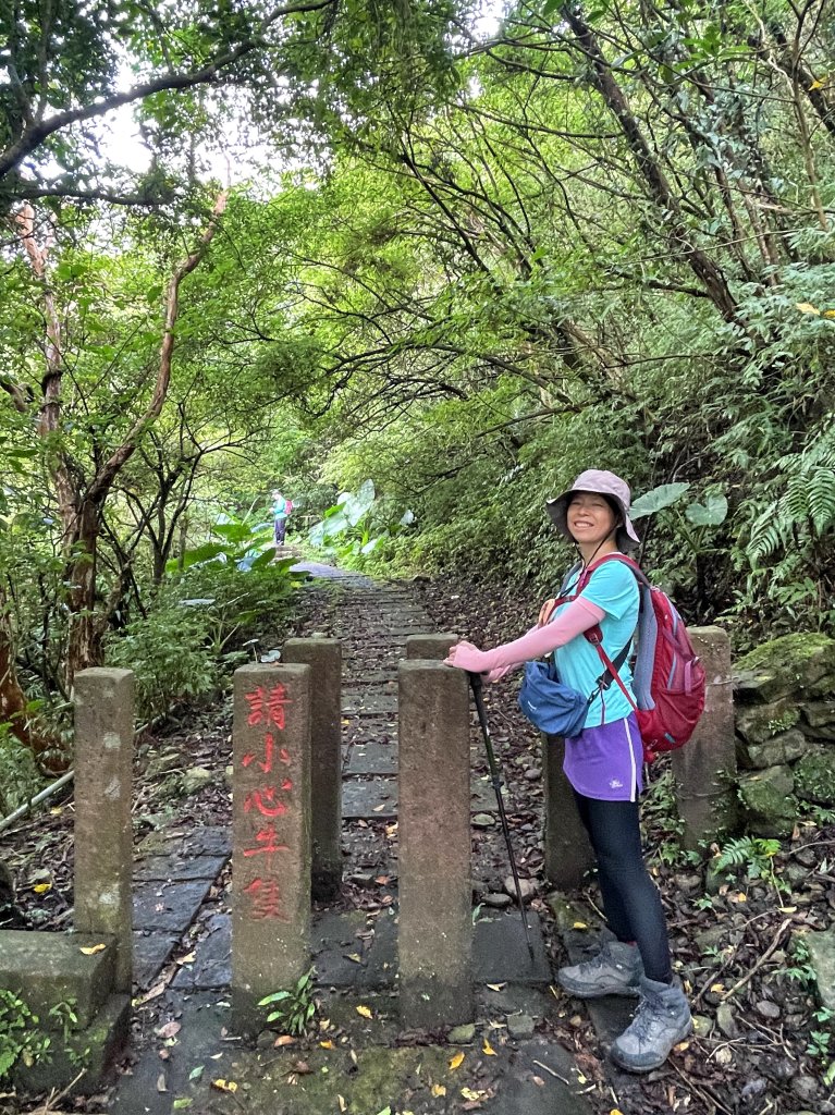 草嶺古道-大溪線-桃源谷-虎字碑-草嶺古道-福隆 20240909_2591660