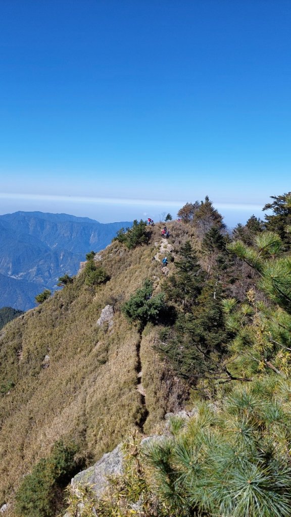 親民的百岳郡大山封面圖