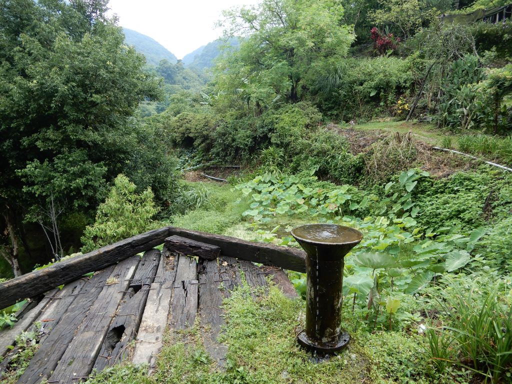 20180616_陽明山步道群封面圖