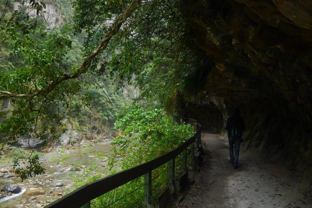 砂卡礑步道的最後一哩路_882779