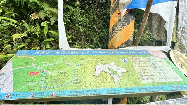 飛鳳山、中坑山、大阪根、賞血藤花O走_2542580