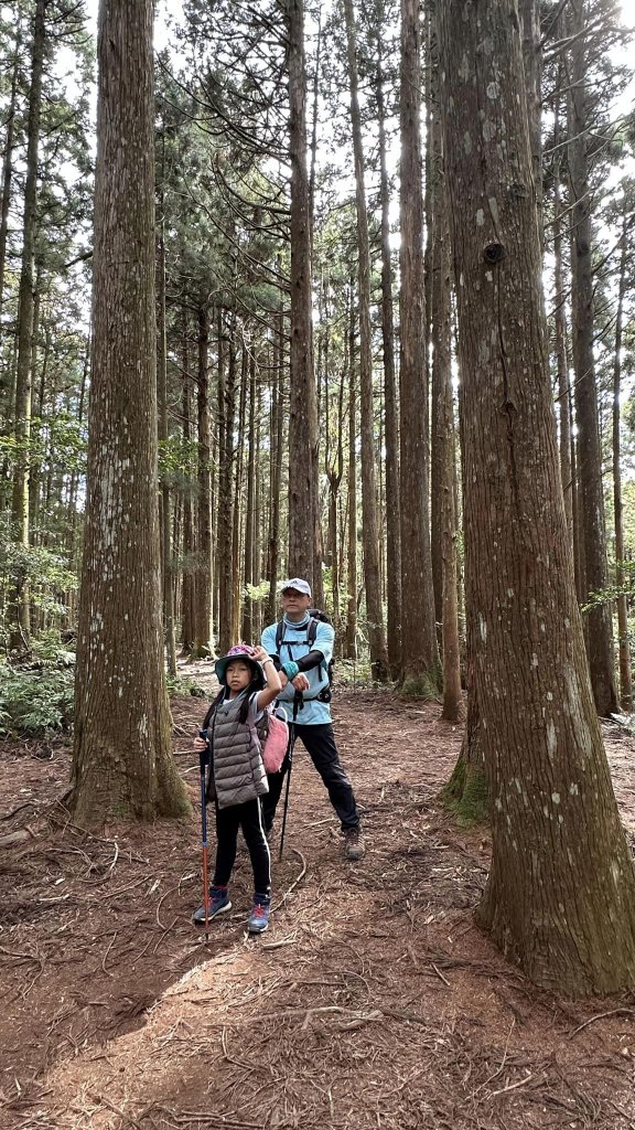 20231112新竹高台山_2354470