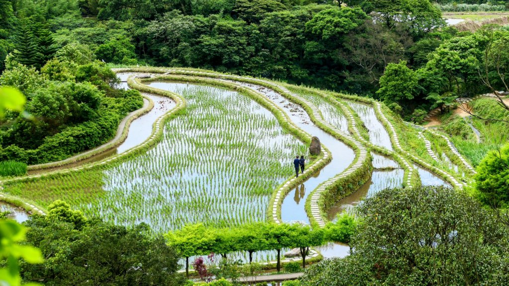 北海岸。良率封面圖
