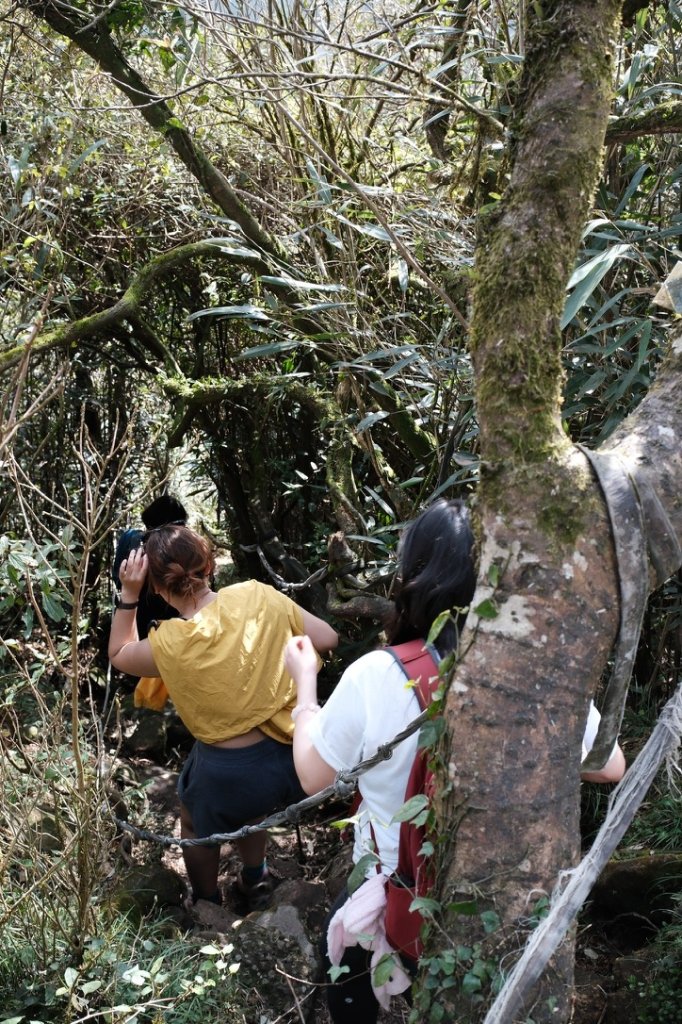 20250228小觀音山小小y_2755478