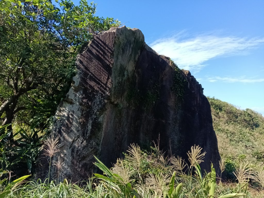 貢寮區龍洞坑古道+苦苓嶺+南雅山+海園古道O型_2954715