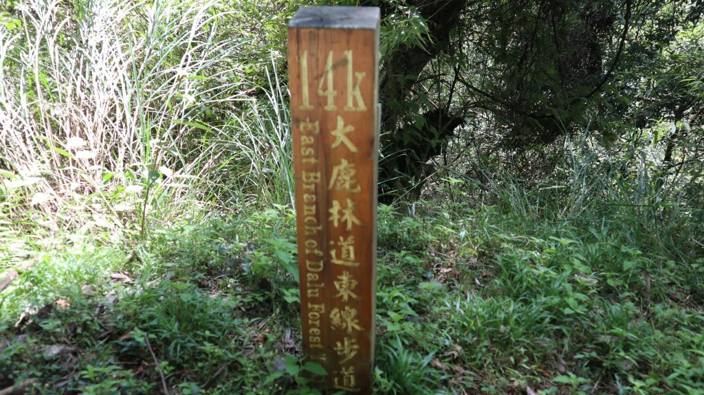 大霸群峰登山健行趣(百岳28號&36號&53號&86號)_2328353