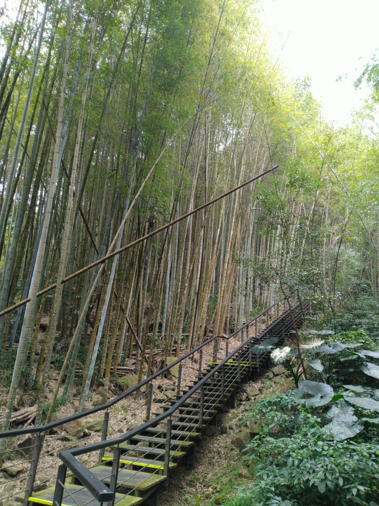 2023-03-04 奮起湖奮起步道_2057740