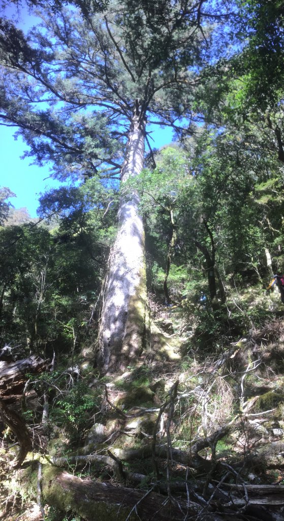 20230306高雄關山(二刷)_2070740