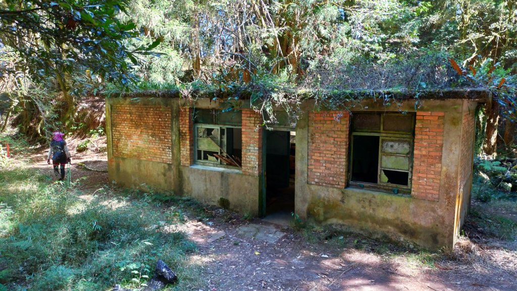 一日【水漾森林-鹿屈山】_1280948