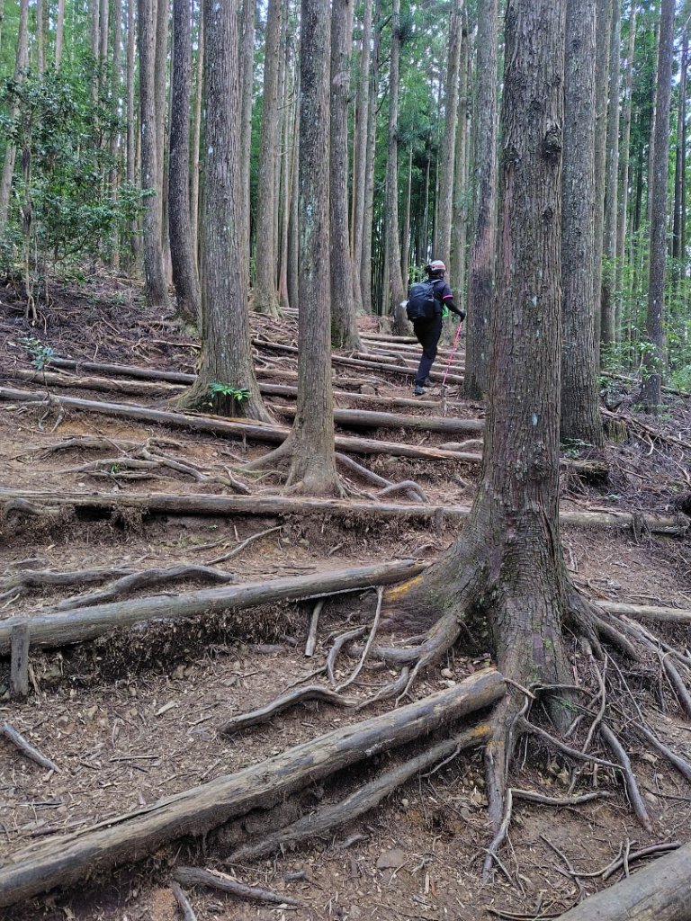 長壽山、肥崠山、醜崠山、大崠山、大崠山經建版_2931530