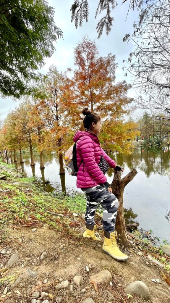 桃園大溪-花彩節🌼李騰芳古厝-月眉落雨松_2936523