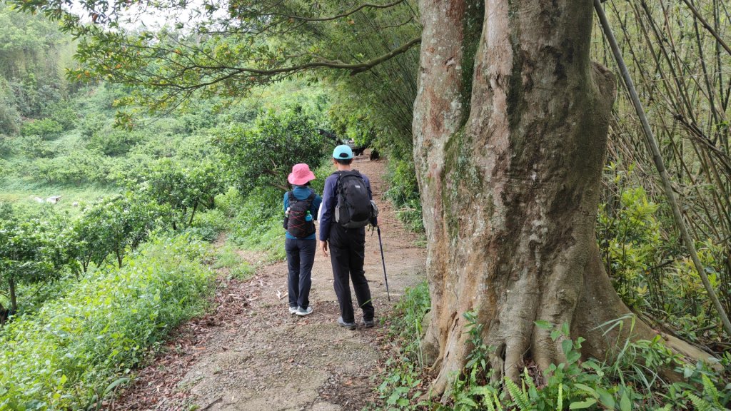 飛沙縱走33連峰2025年4月13日_2760317