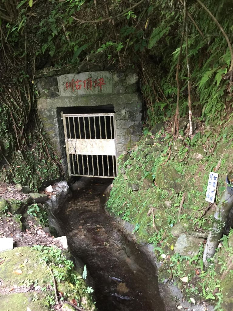 北五指山_坪頂古圳_內雙溪並荷蘭古道_407180