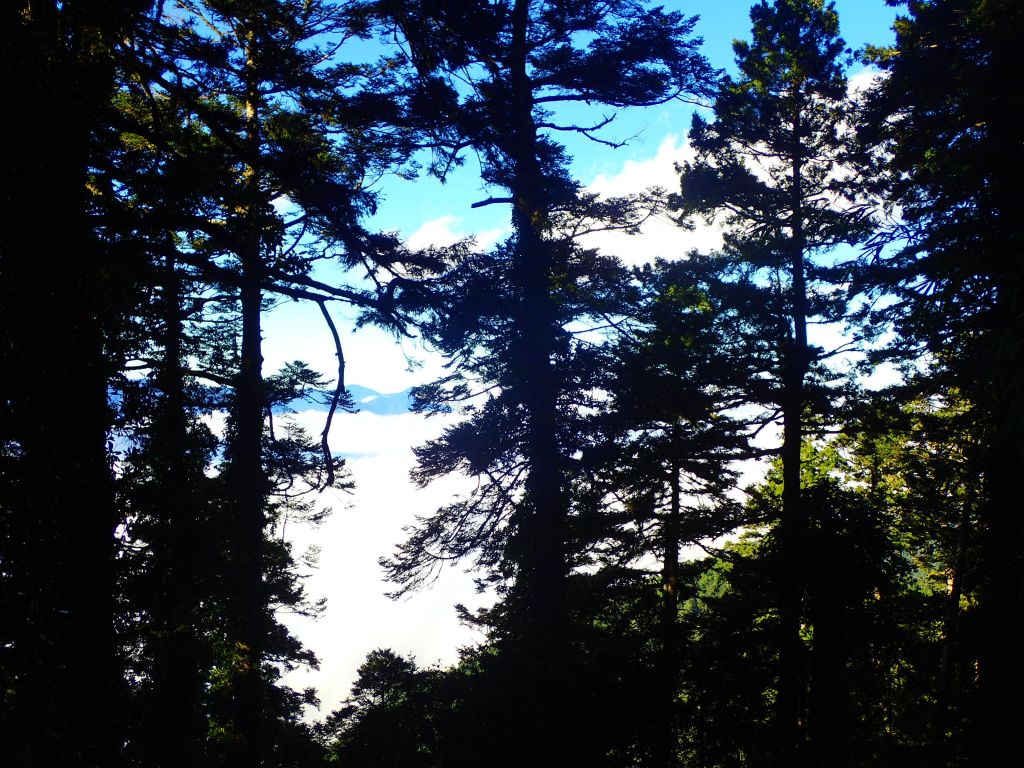 2017南湖群峰_227961