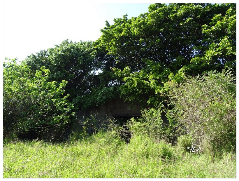  大甲/鐵砧山(小百岳)_819500