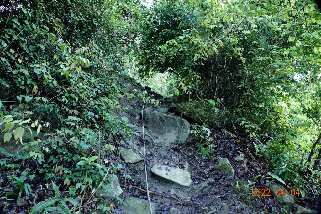 嘉義 大埔 三腳南山_1665720