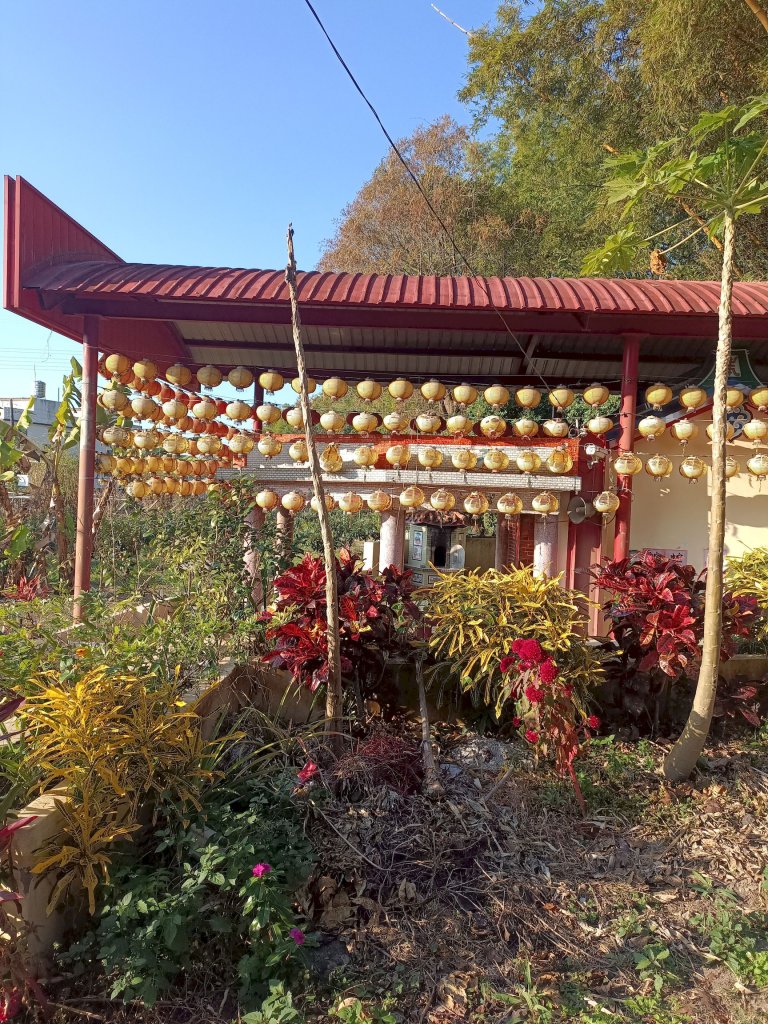 穿霧隘勇線-中三鹿_2991783