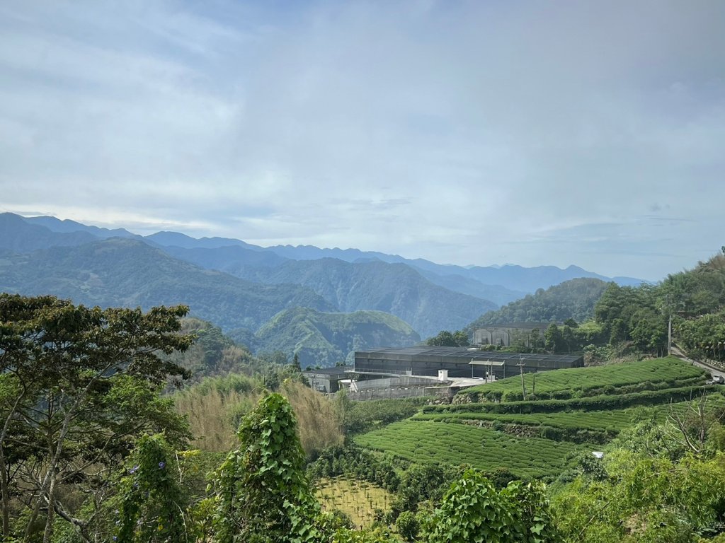 龍美步道 土匪山 公興森態園區封面圖