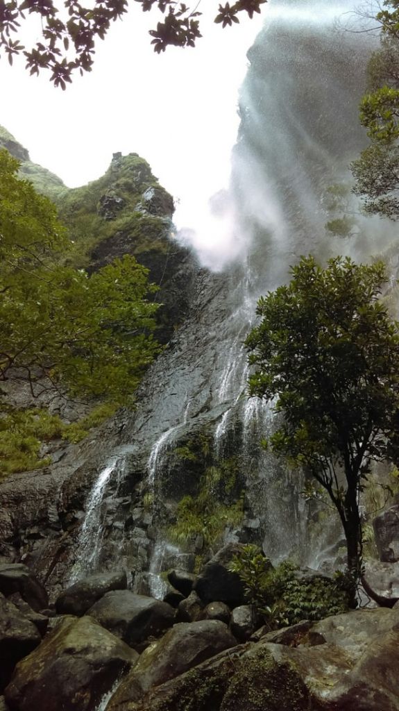 陽明山國家公園最大的瀑布「阿里磅瀑布」_406740