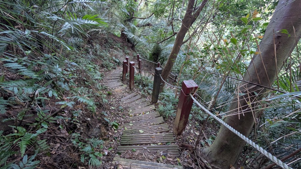 114.11.22鳶山彩碧-鳶山-鳶尾山之旅_2943550