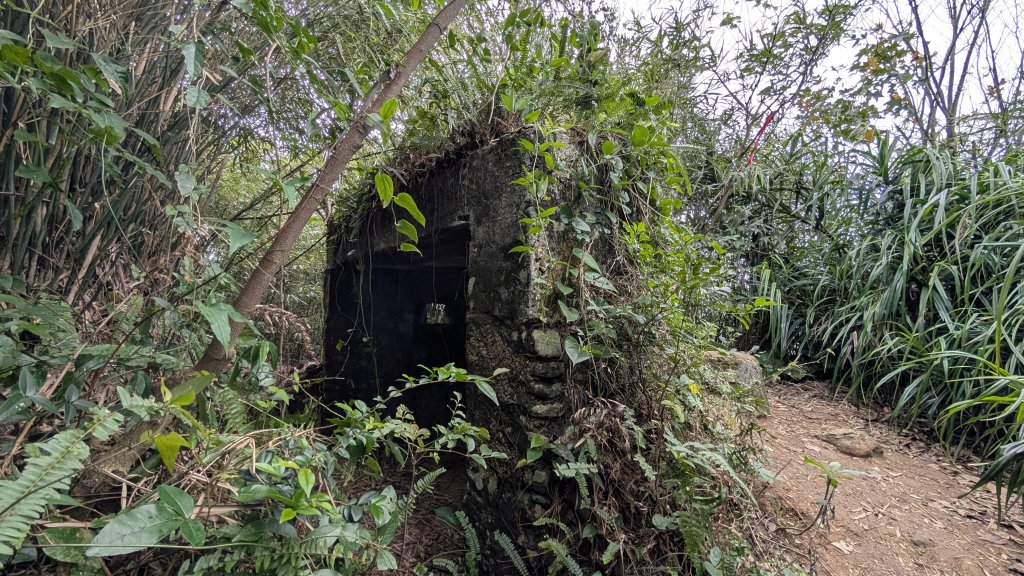 114.12.20劉銘傳隧道-獅球嶺北峰-獅球嶺東砲台山-獅球嶺池-獅球嶺砲台山之旅_2966734