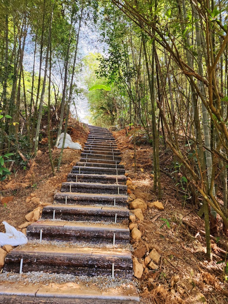 小百岳集起來-梨子腳山_2182945