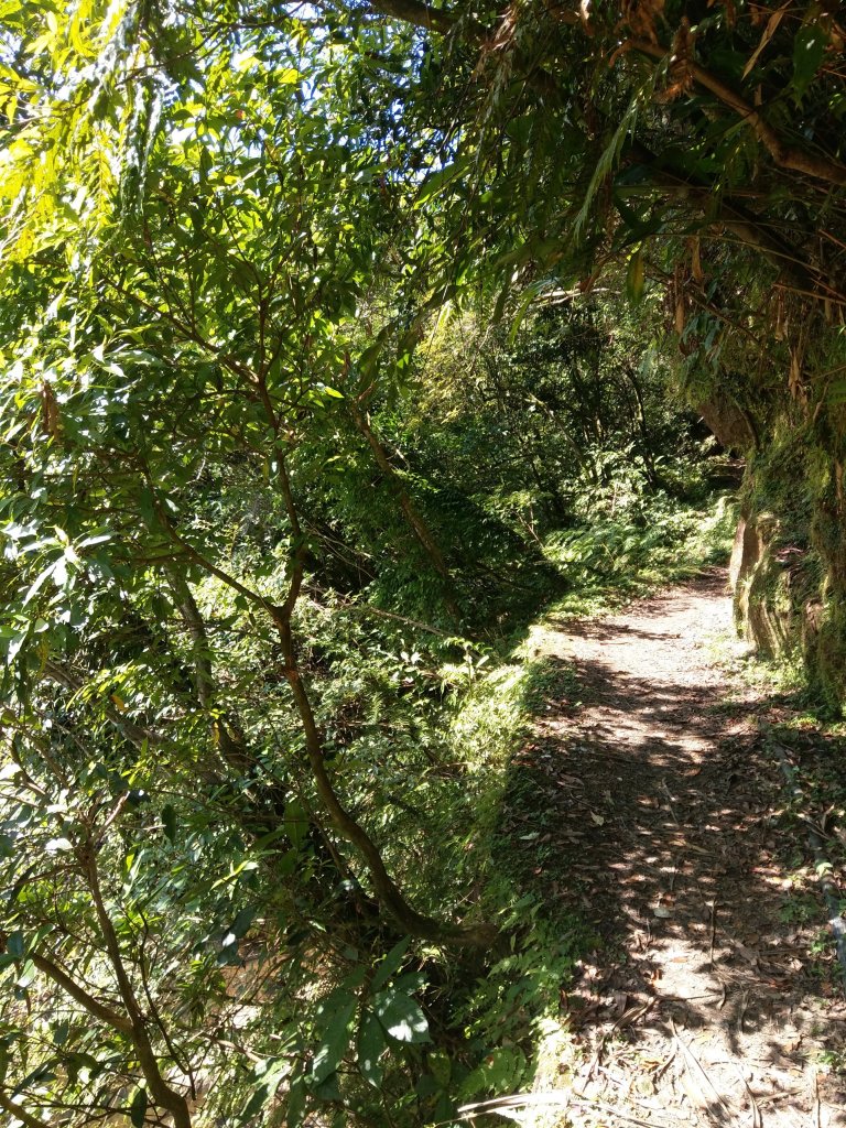 2020-07-05_虎豹潭古道8字行_1028111