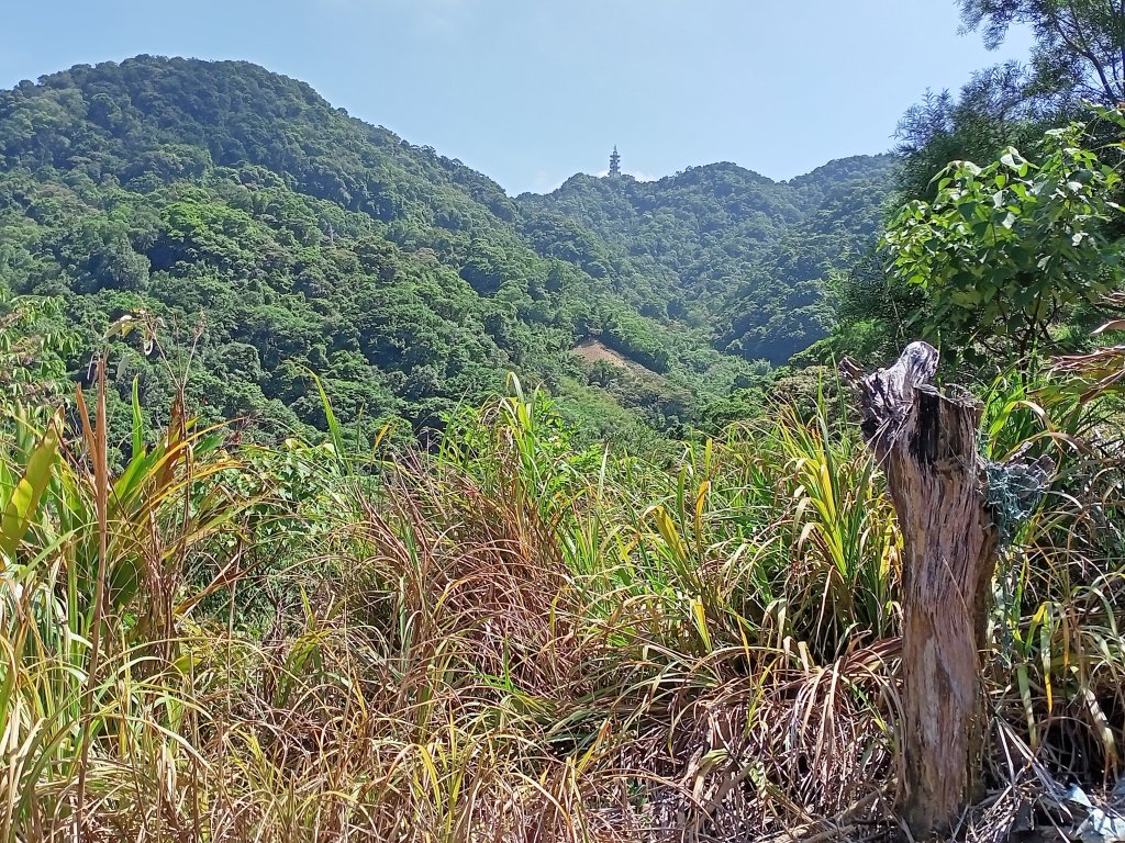 【臺北大縱走 7】(2-2) 指南宮貓空親山步道拓印亭→樟山寺_1476440