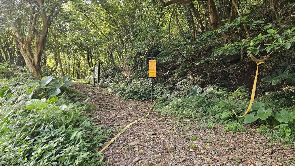 20250808內柑宅古道-紅葉谷瀑布封面圖