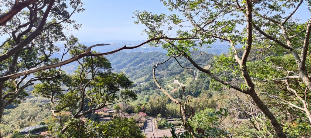 林梢步道_2700682