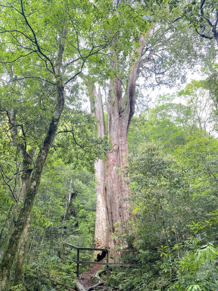 年輕人爬山趣～北得拉曼 5/13 2023_2170502