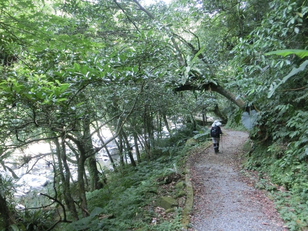 北勢溪古道．黑龍潭．灣潭古道_145429