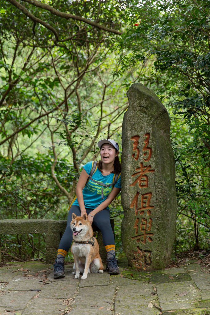柴犬阿怪的八里觀音山歷險記（硬漢嶺步道、北橫古道、尖山步道）_1901700