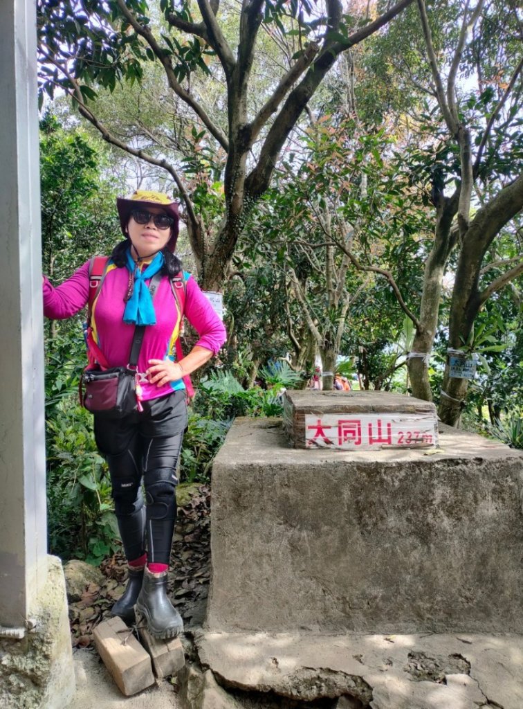 ［樹鶯縱走十連峰］（樹林山~鶯歌石山）（2024/2/24）_2442255