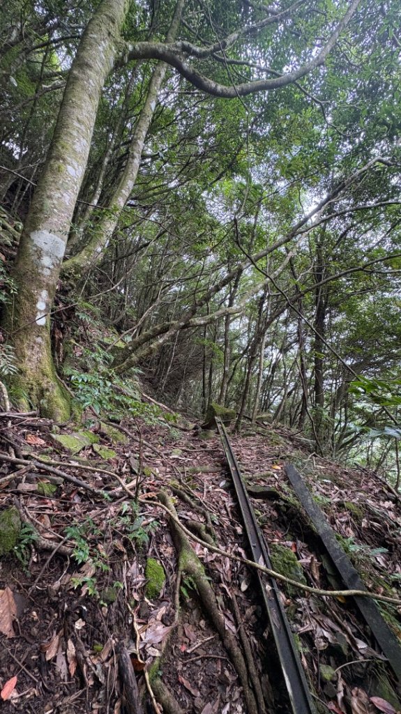 加里山東南峰_2868084