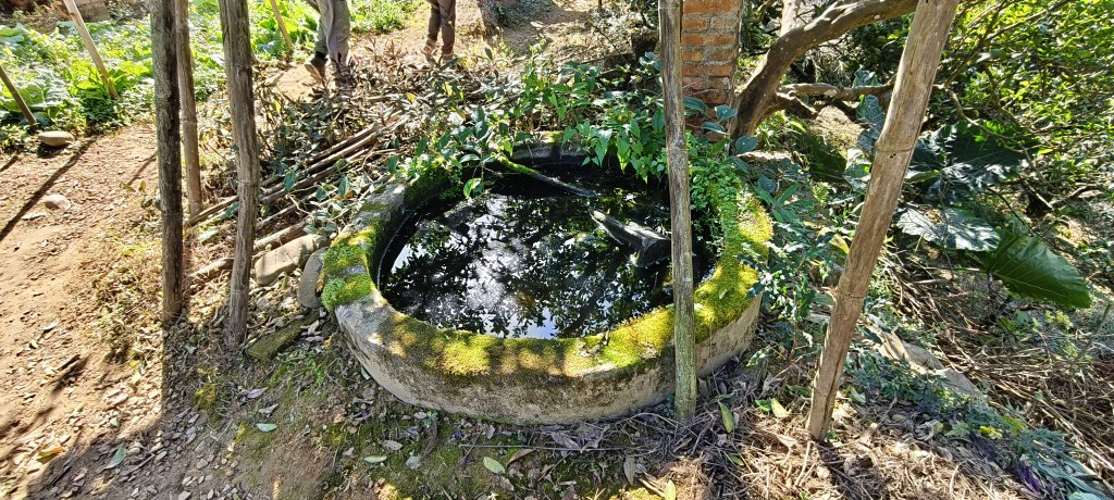 2025/01/12_三段崎古道_2688010