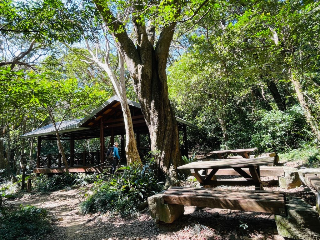 1150123里龍山_2986689