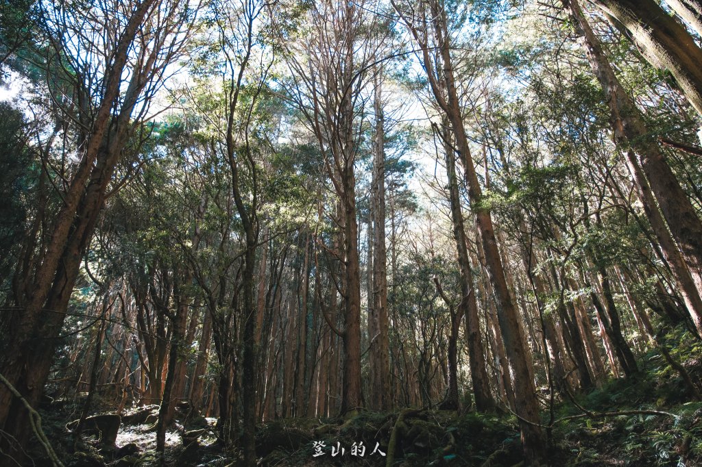 霞山鐵道野營_2843070