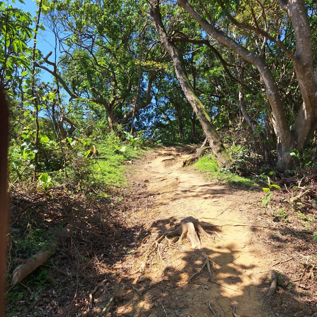 2025臺北大縱走-中華科技大學到麟光站-第六段完成!_2745732